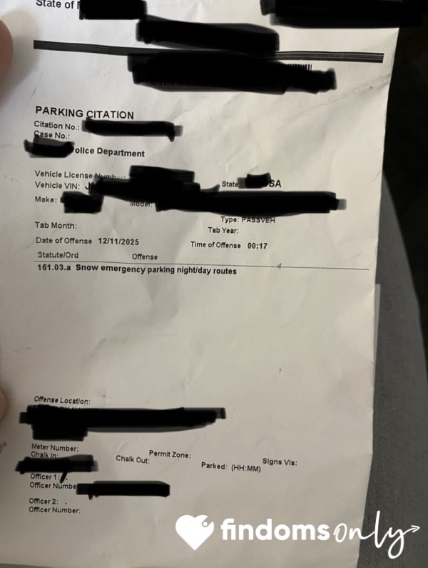 Pay My Stupid A$$ Parking Ticket