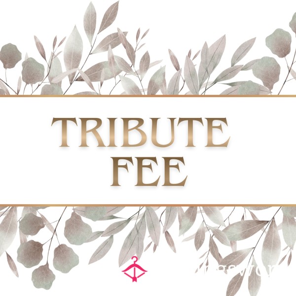 Tribute