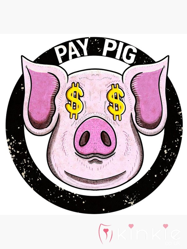 Pay Piggies Wanted 🐷
