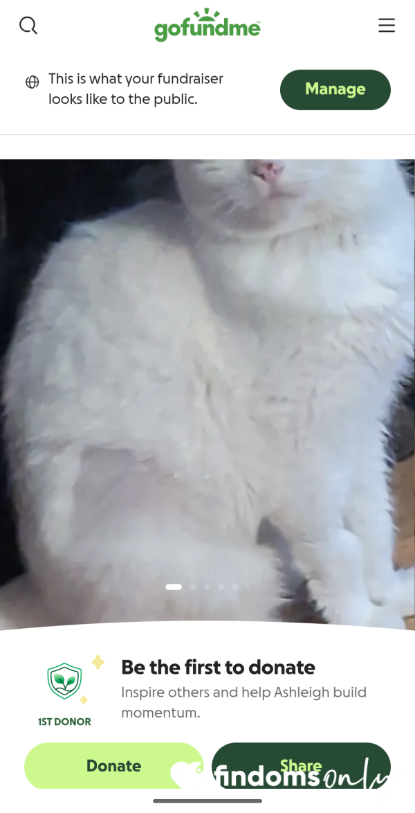 Raise Money Towards My Pets Surgery