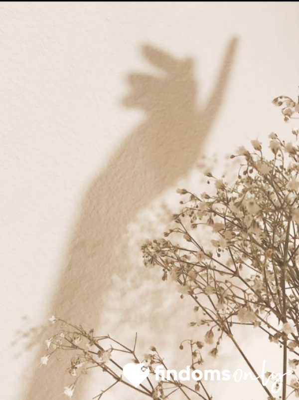 PAY YOUR SHADOW