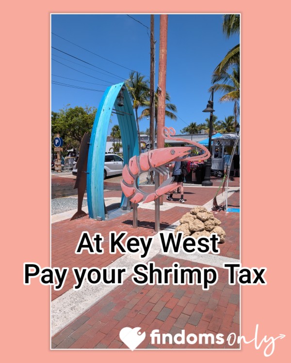 Pay Your Shrimp Tax