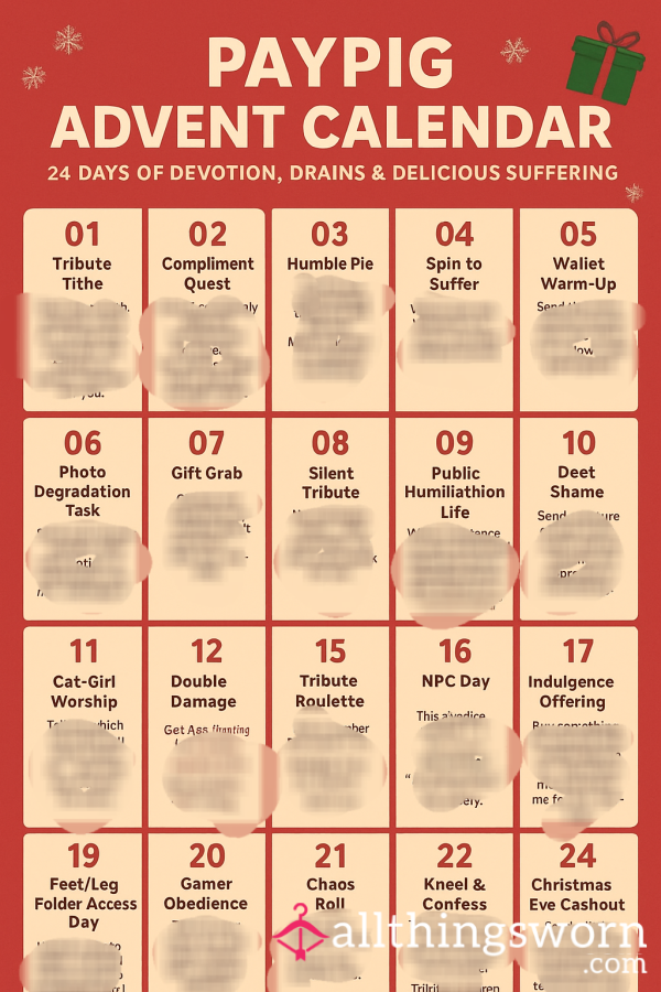 Paypig Advent Calendar (24 Days)