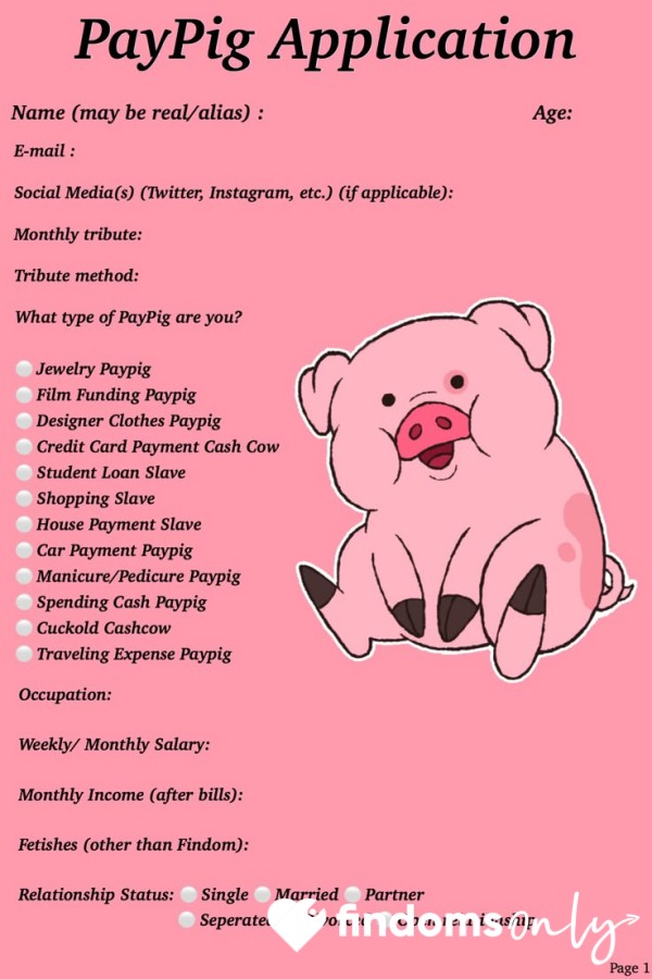 Paypig Application
