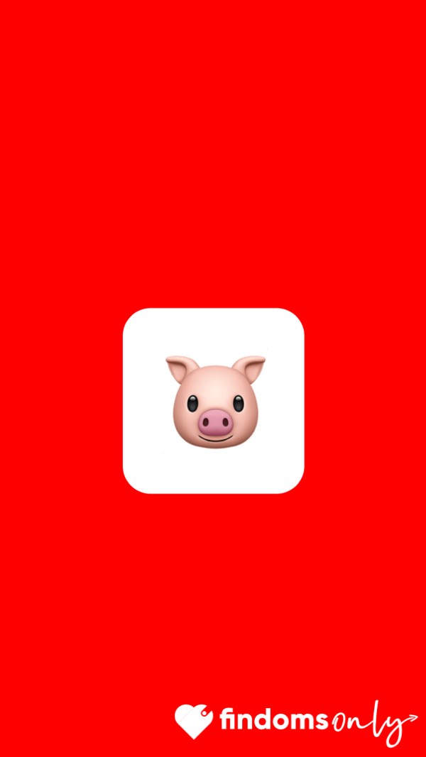 Paypig Approach Fee