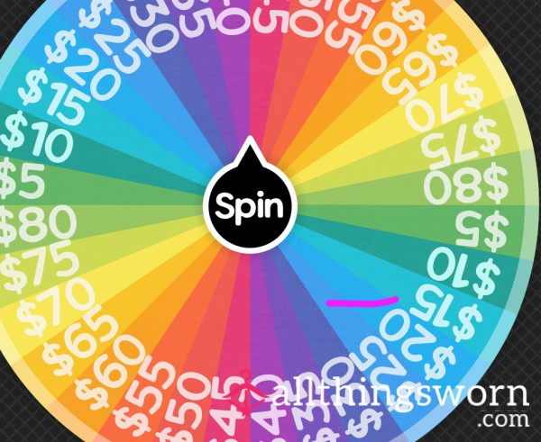 Paypig Wheel Spin
