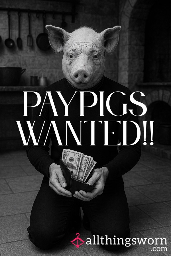 PAYPIGS WANTED: Longterm, Loyal & Obedient 🐷💸