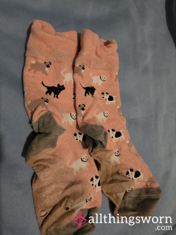 Peachy.cat.smelly.socks.