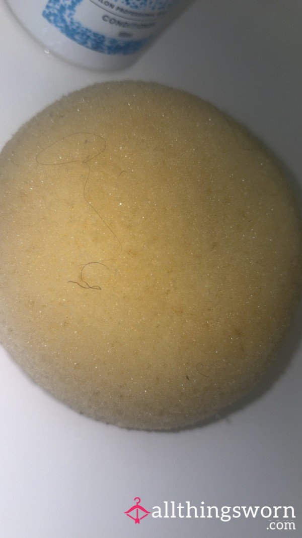 Personal Shower Sponge 🧽 💦