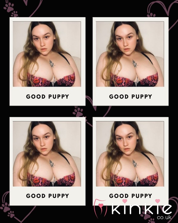 Pet Tasks | 15 Ready To Follow Tasks | Go Fetch🐶