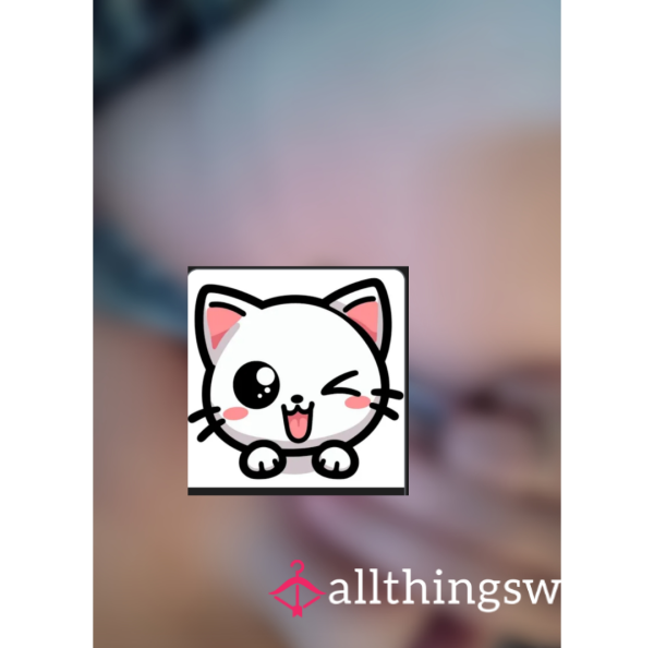 Pet The Kitty!