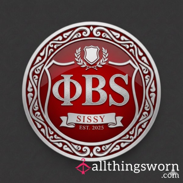 Phi Beta Sissy Sorority Experience