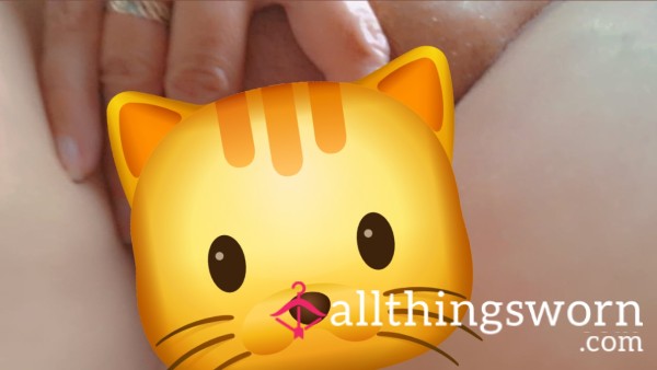 Photo Set 📷📸😻😻