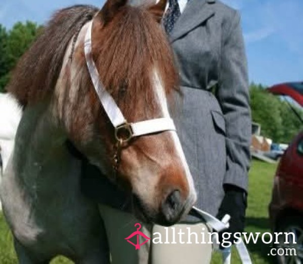 Photos Of Me In My Riding Gear