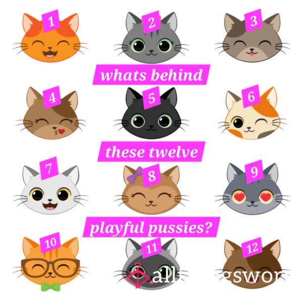 Pick A Pu**y - Win A Prize Every Time