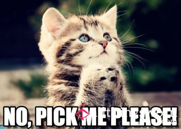 Pick Your Own Panties!
