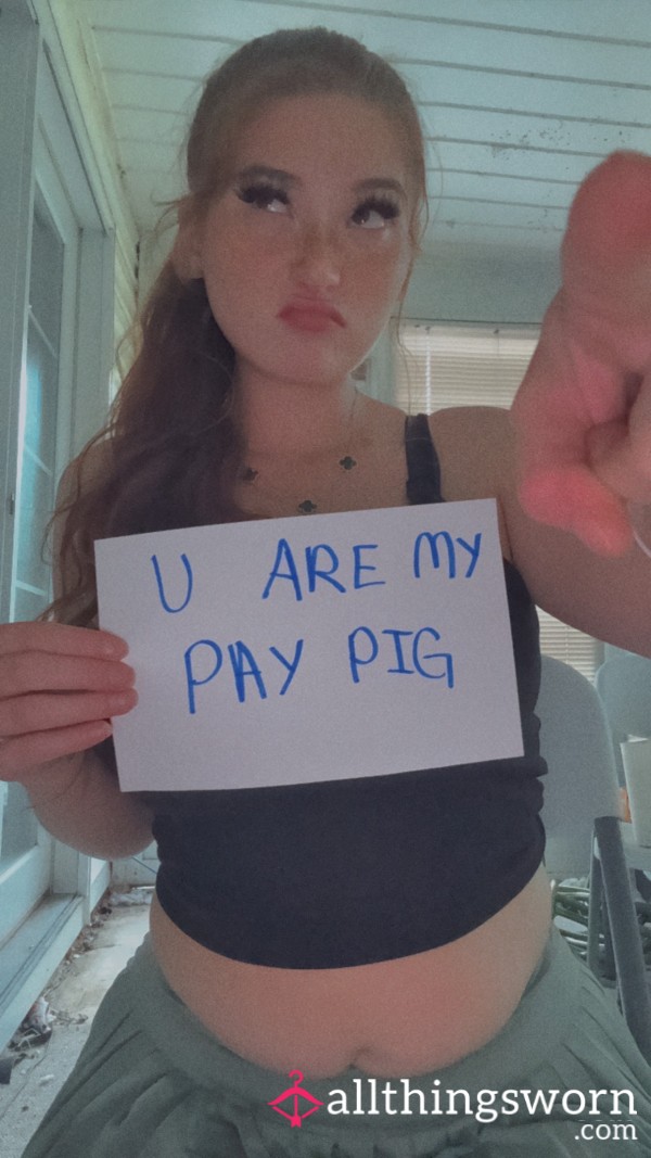 ⭐️Piggly Play Time⭐️