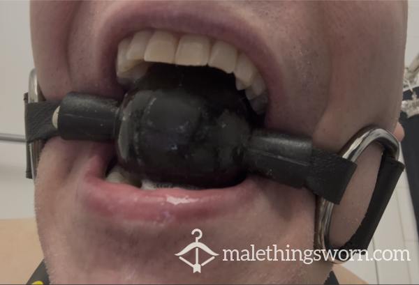 PIGGY IN A BALL GAG