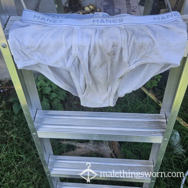 Piggy Play Party Hanes Briefs