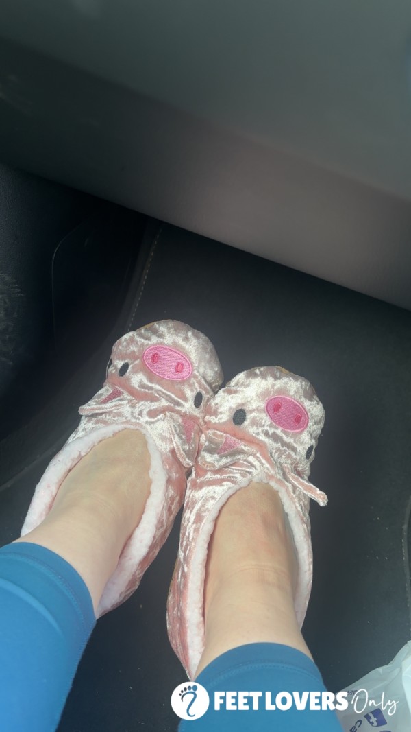Well Worn Piggy Slippers
