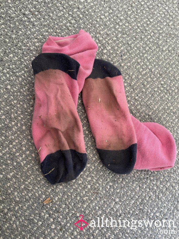Pink And Navy Socks