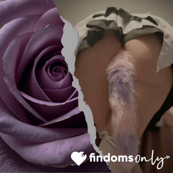 Pink And Purple Tail ⋆ Faux Fur Bu*t Plug