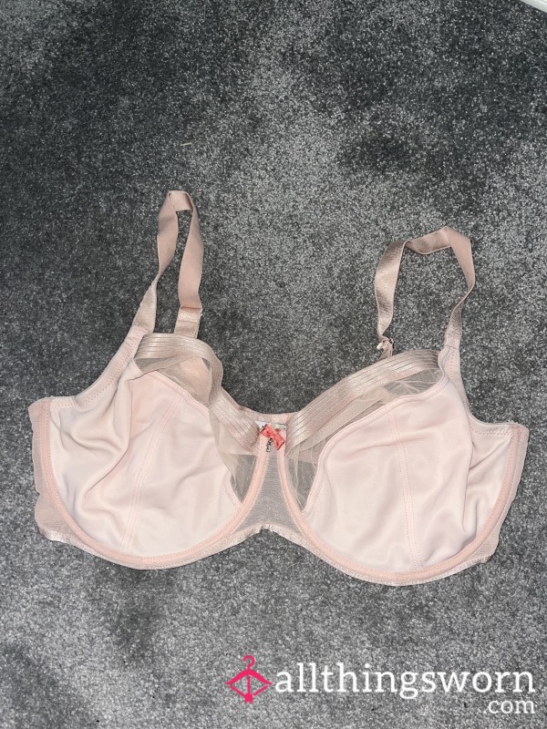 Pink Bra - 38FF