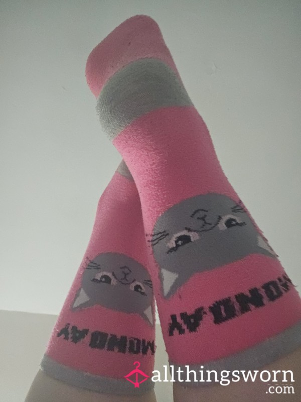 Pink Monday Grumpy Cat Socks
