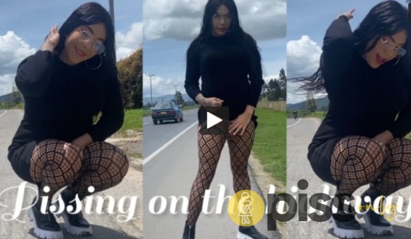 Pi*sing On The Highway