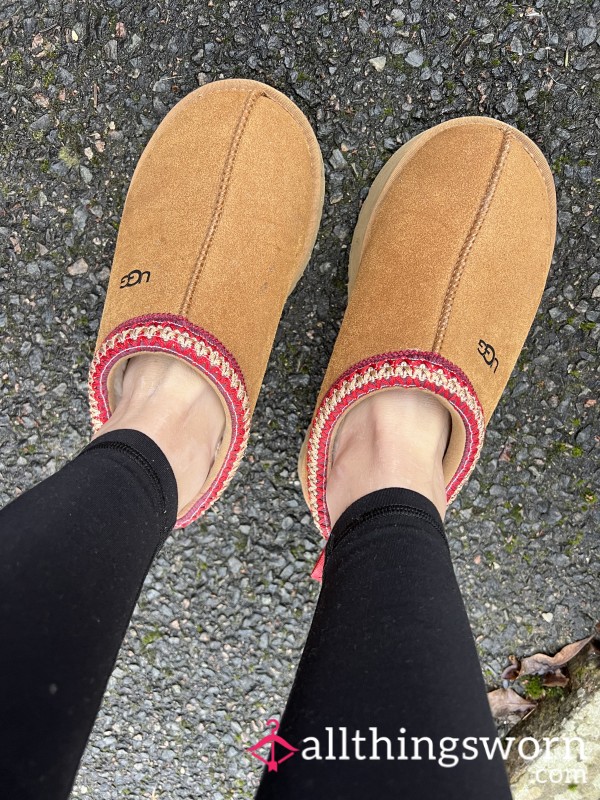 Platform UGG Tasmans
