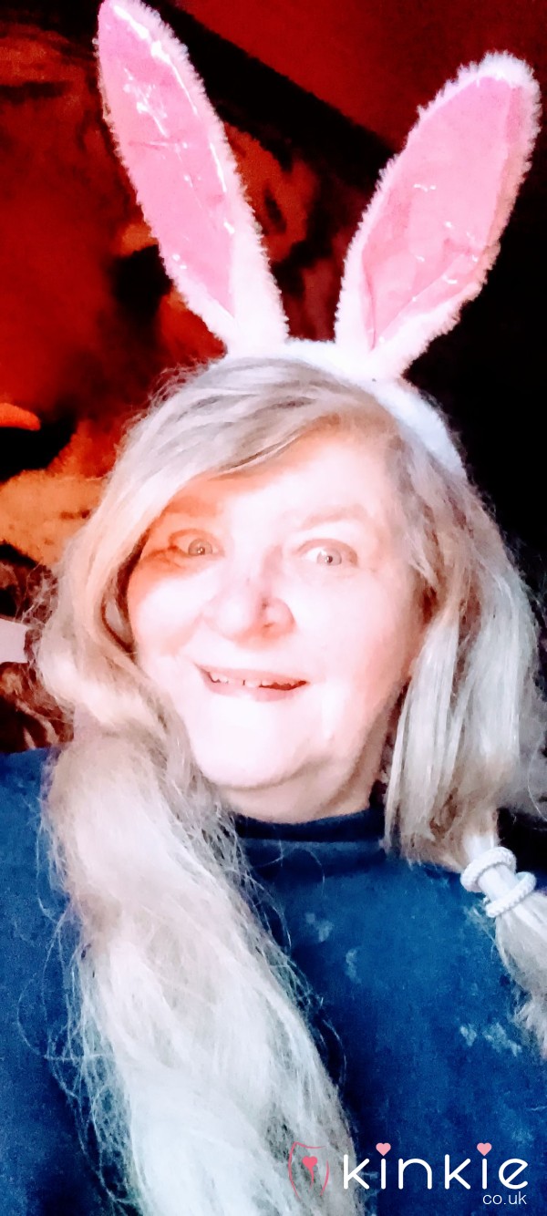 Play Bunny Needs Fun