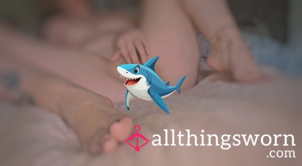 Playtime 🦈😈