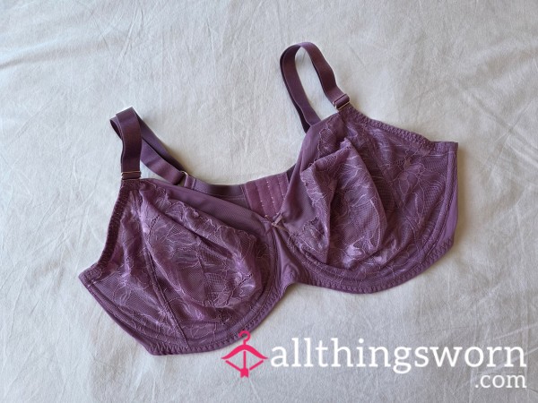 Plum Unpadded 38G Bra
