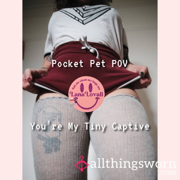 Pocket Pet POV - You’re My Tiny Captive | Lana Lovall - Giantess