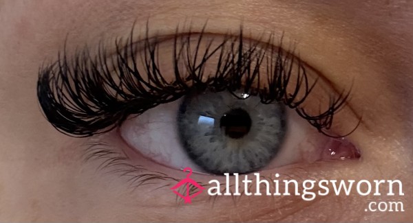 Pot Of My False Eyelashes