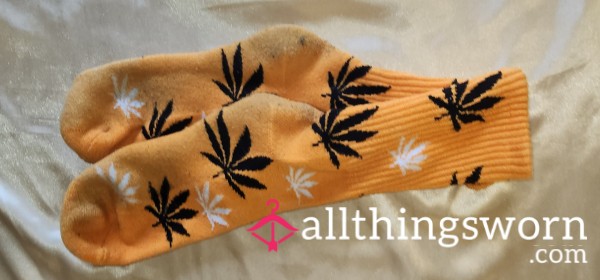 Pozee's Pot Socks: Trichome Orange