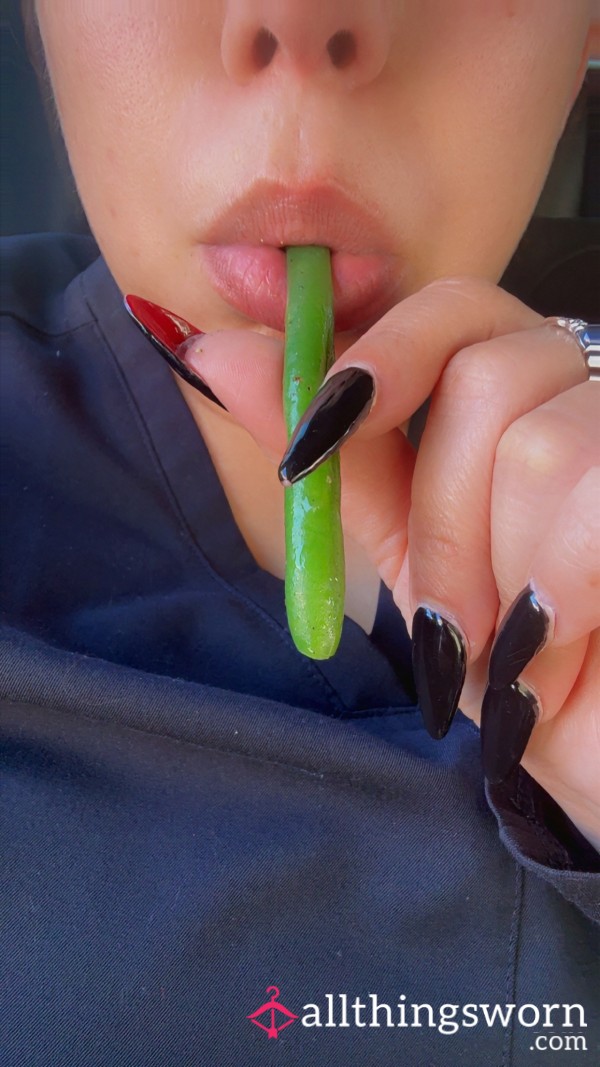 Pre Chewed Food Shipping Included