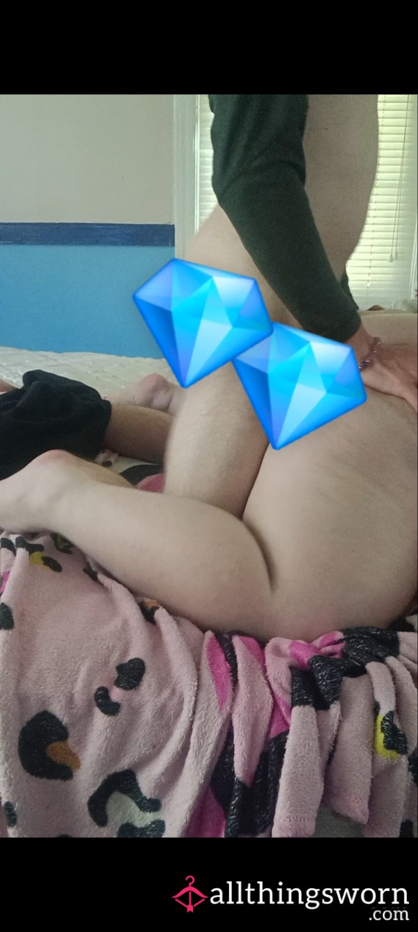 Pre-Made Content: Up Close Doggy