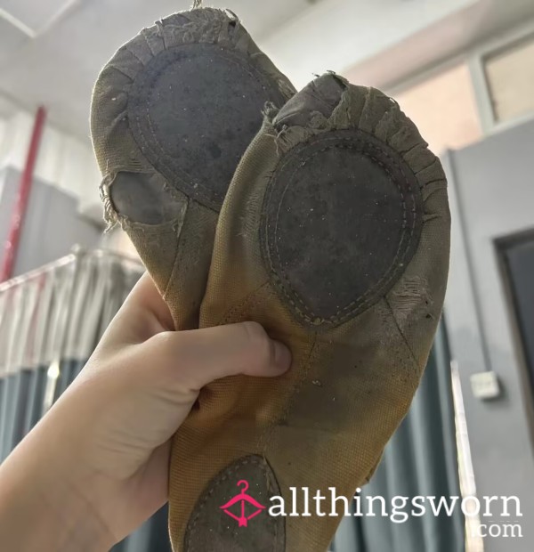 Premium Ballet Flats