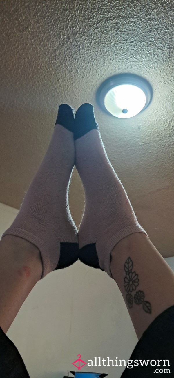 Pretty Little Piggies