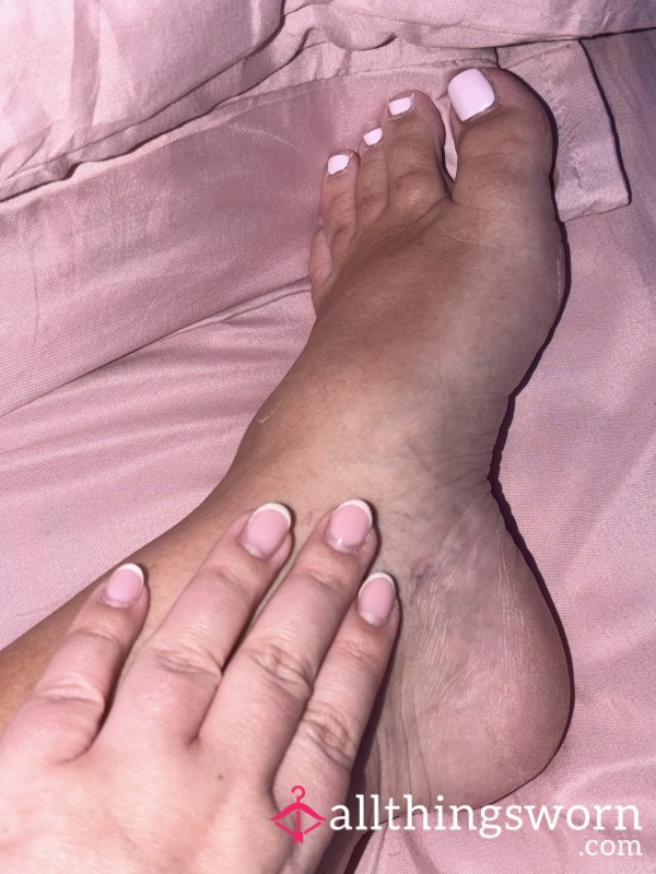 Pretty Little Piggy’s For Sale