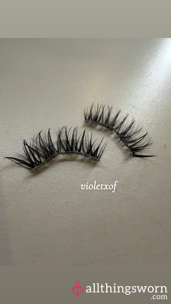 Princess’ 3 Week Lashes