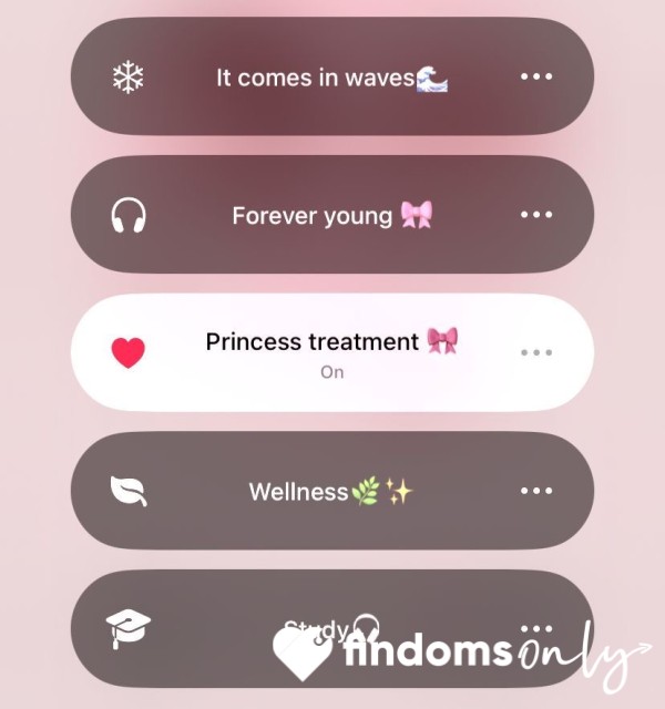 Princess Tribute