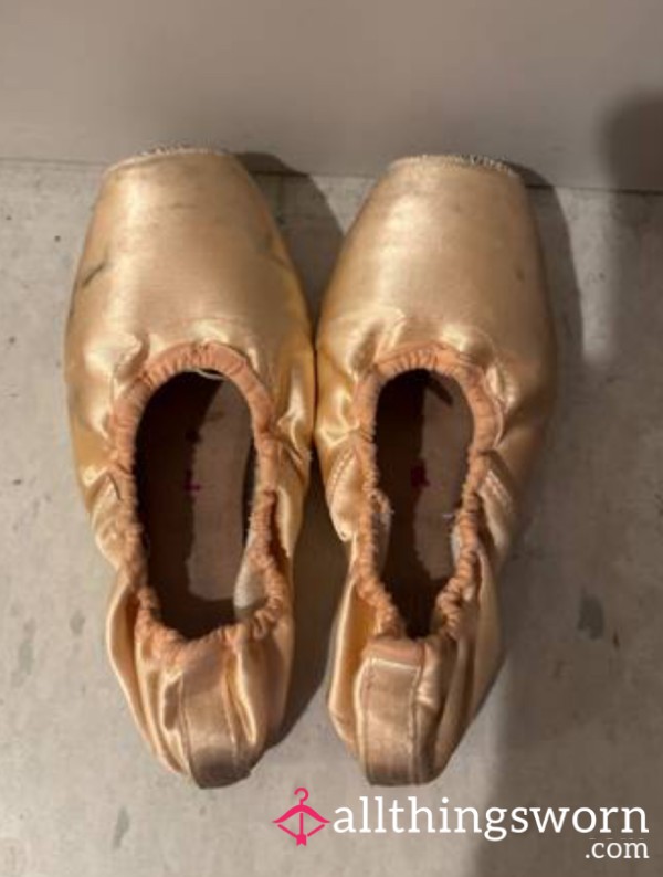 Professional Ballet Shoes Worn