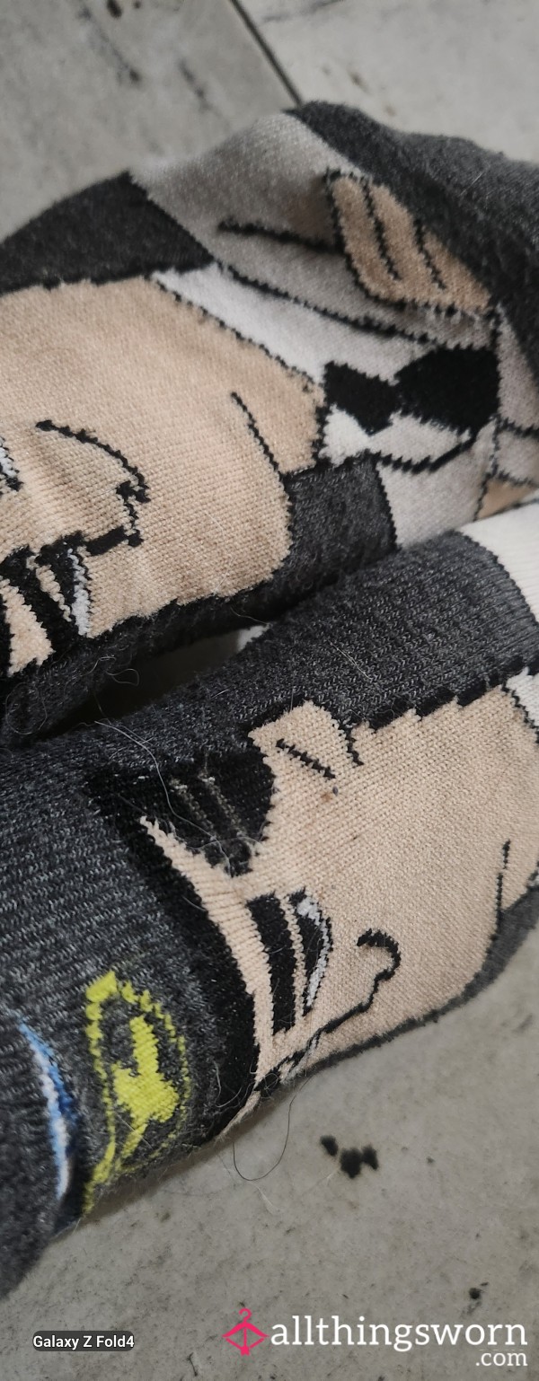 Professor Socks! 6 Days In👍 You Know You'd Want These Puppies😏