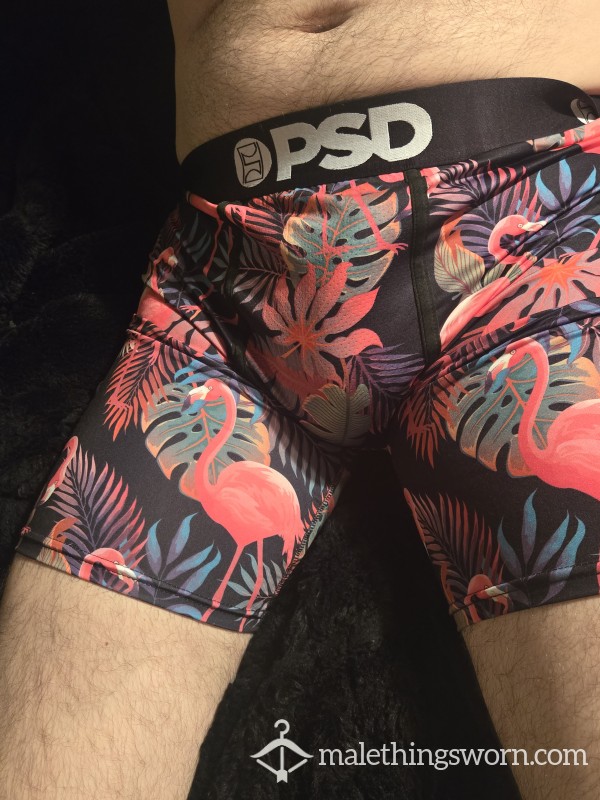 Psd Large Underwear Ready To Be Worn For You