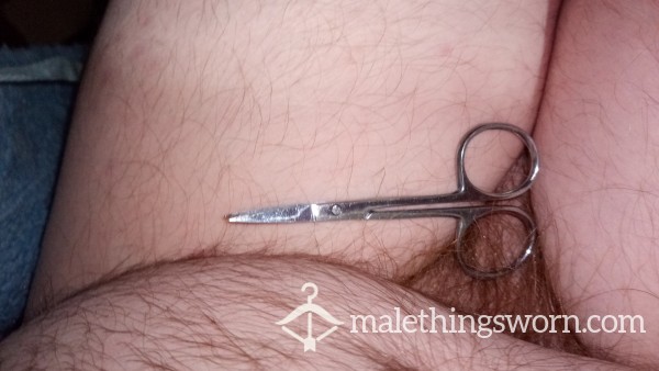 Pube Cropping