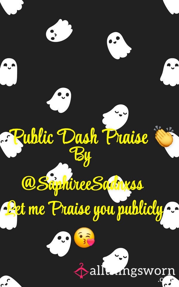 Public Dash Praise 💗