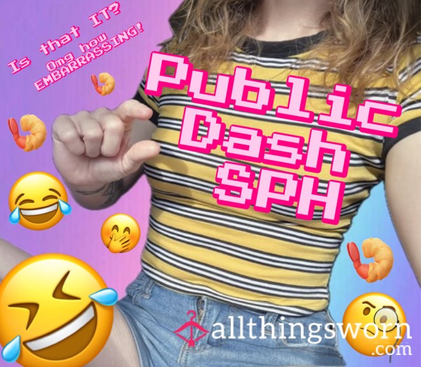 Public Dash SPH 🍤