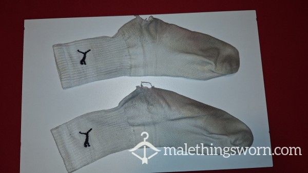 Puma Sox